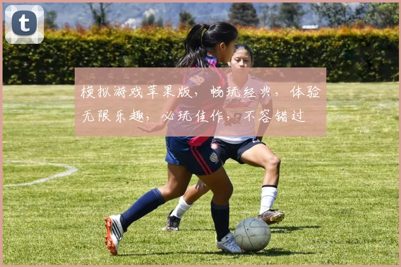 模拟游戏苹果版，畅玩经典，体验无限乐趣，必玩佳作，不容错过