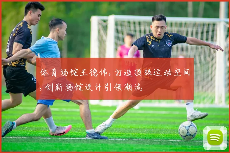 体育场馆王德伟,打造顶级运动空间,创新场馆设计引领潮流