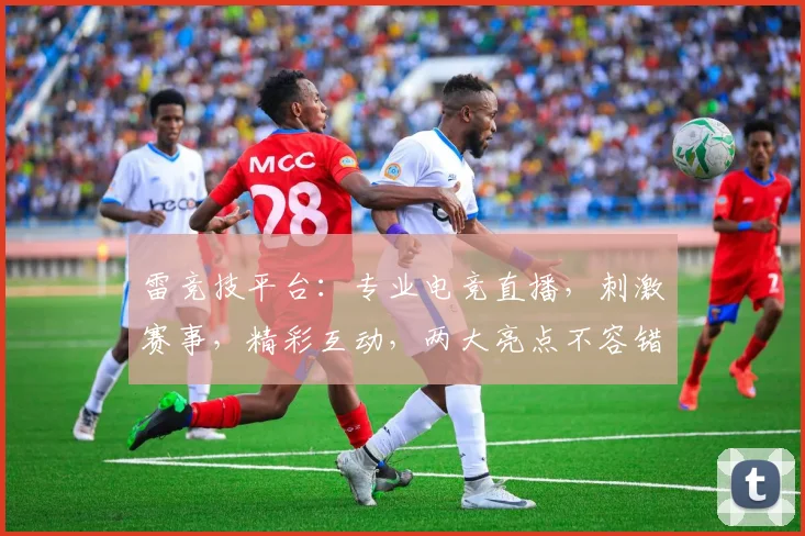 雷竞技平台：专业电竞直播，刺激赛事，精彩互动，两大亮点不容错过，快来体验